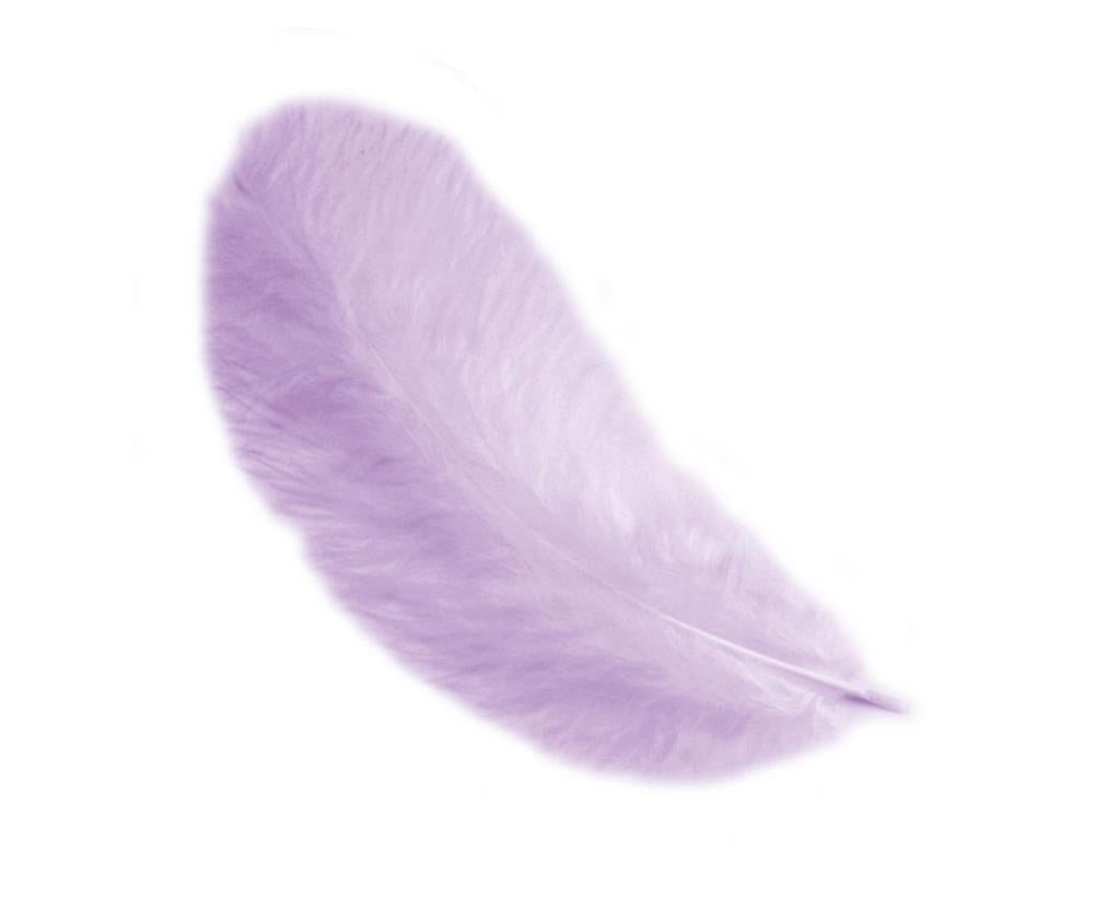 Piume di Gallina 12 cm – Eleganza naturale per le tue creazioni