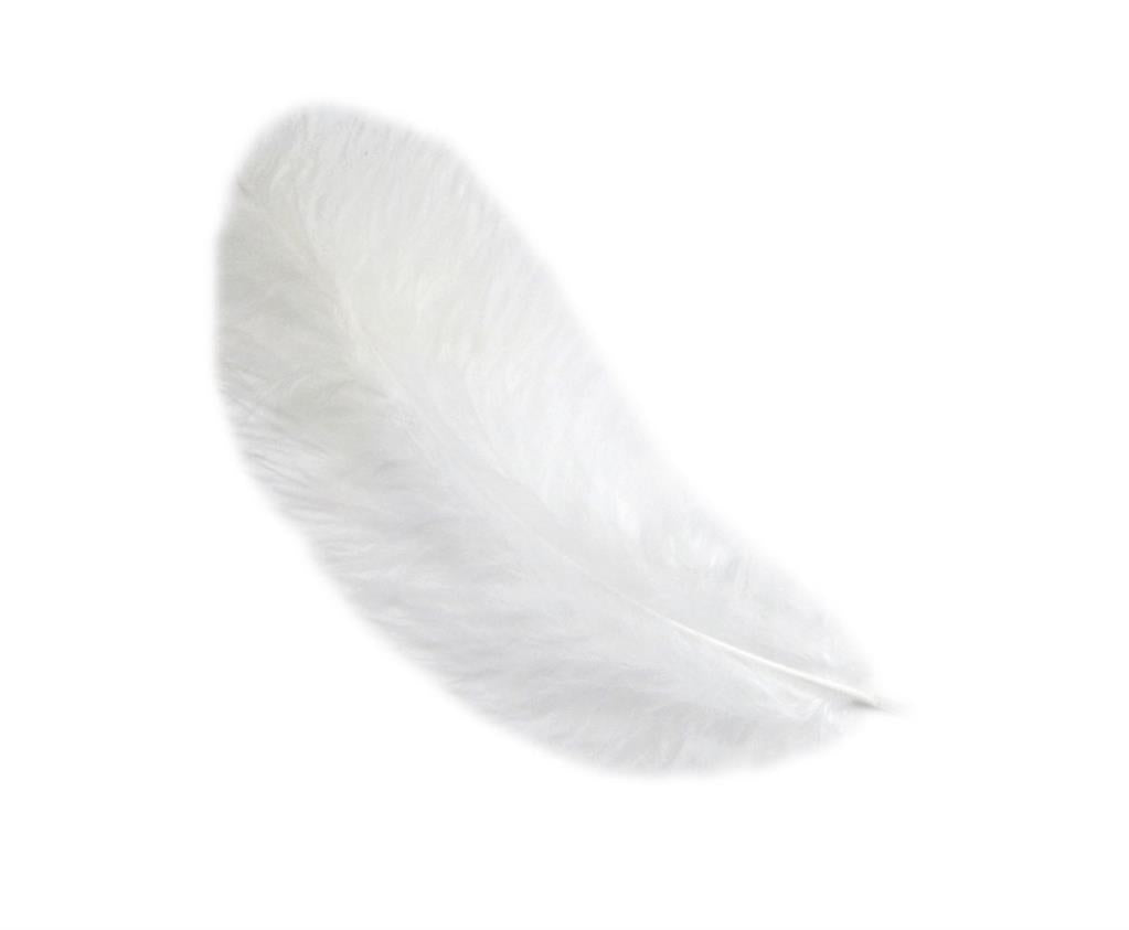 Piume di Gallina 12 cm – Eleganza naturale per le tue creazioni