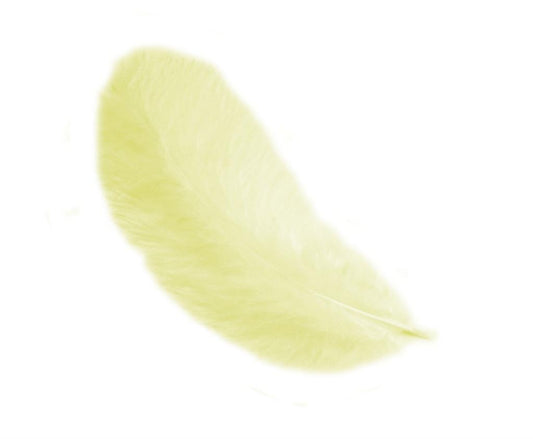 Piume di Gallina 12 cm – Eleganza naturale per le tue creazioni