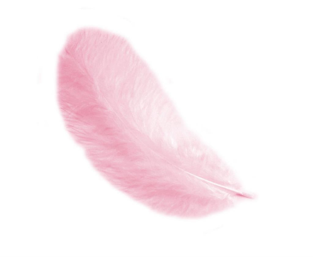 Piume di Gallina 12 cm – Eleganza naturale per le tue creazioni