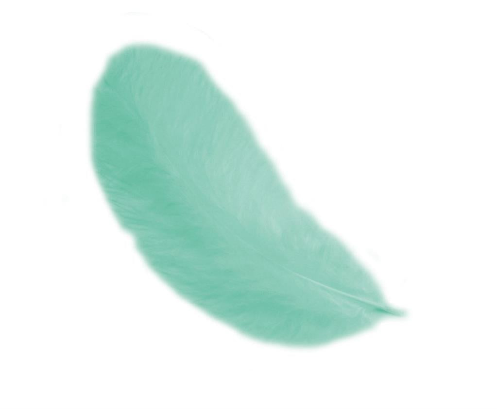 Piume di Gallina 12 cm – Eleganza naturale per le tue creazioni